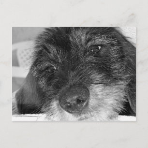 Postal Te echo de menos