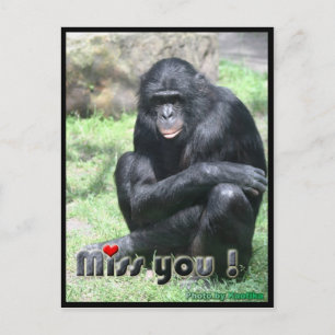 Postal Te echo de menos chimppanzee