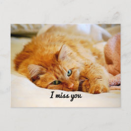 Postal Te echo de menos, dulce Naranja Maine Coon Cat