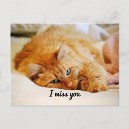 Postal Te echo de menos, dulce Naranja Maine Coon Cat