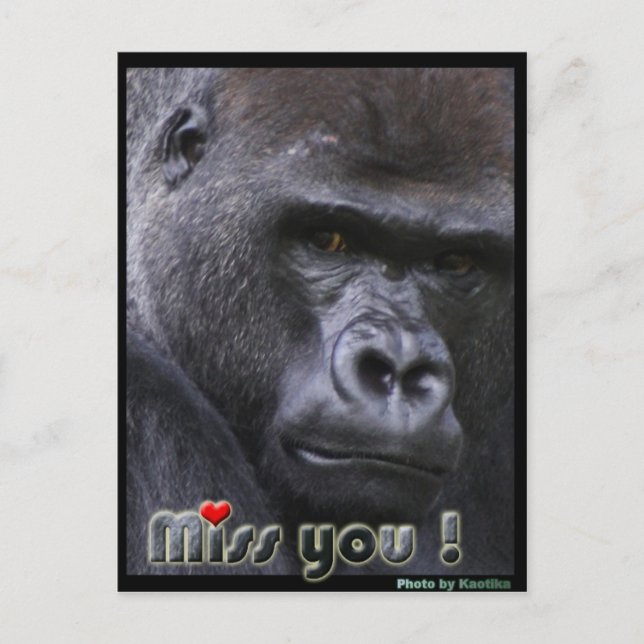 Postal Te echo de menos Gorilla (Anverso)