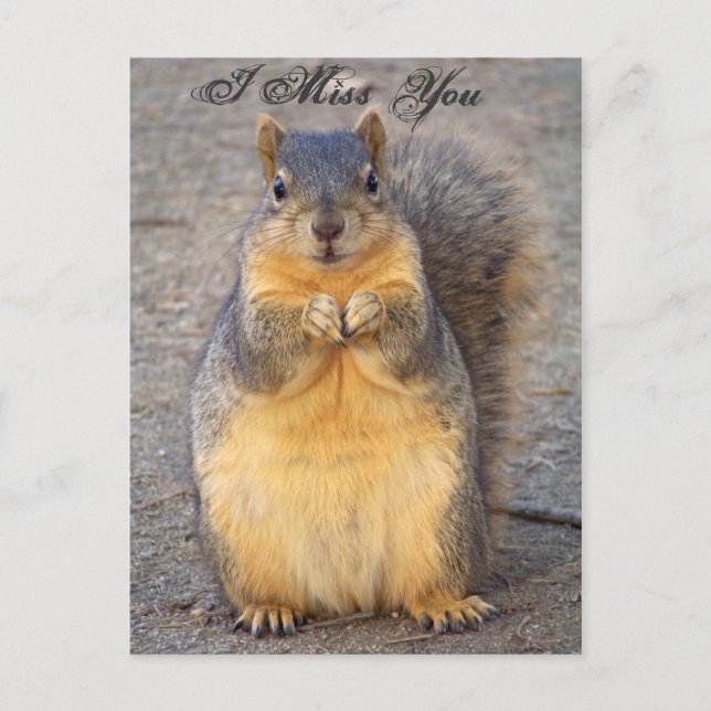 Postal Te echo de menos. Postcard_by Elenne Boothe (Anverso)