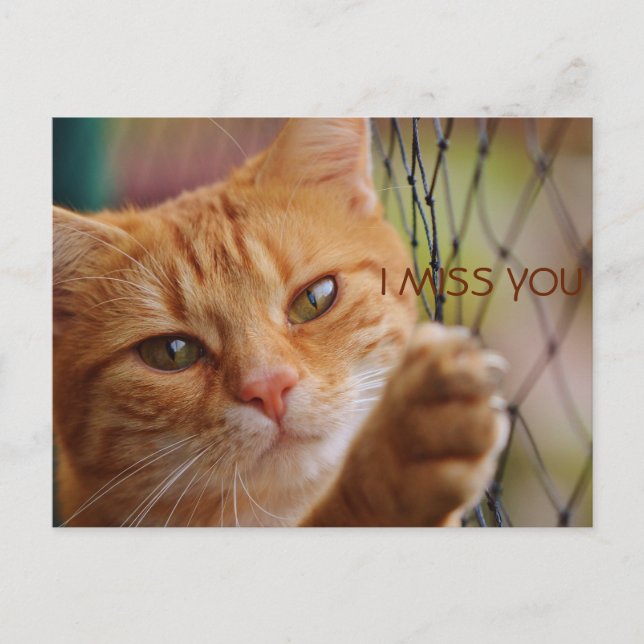 POSTAL TE ECHO MAL (Anverso)