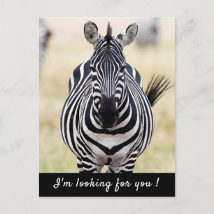 Postal Te estoy buscando foto de Zebra con texto