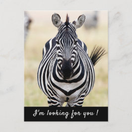 Postal Te estoy buscando foto de Zebra con texto