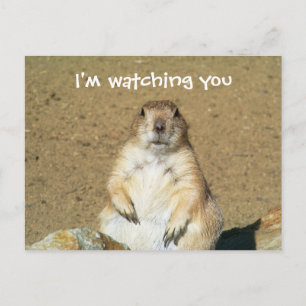 Postal "Te estoy vigilando" Prairie Dog Postcard