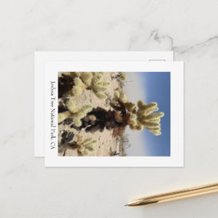 Postal Te extraÃ±o - Parque Nacional Joshua Tree, CA