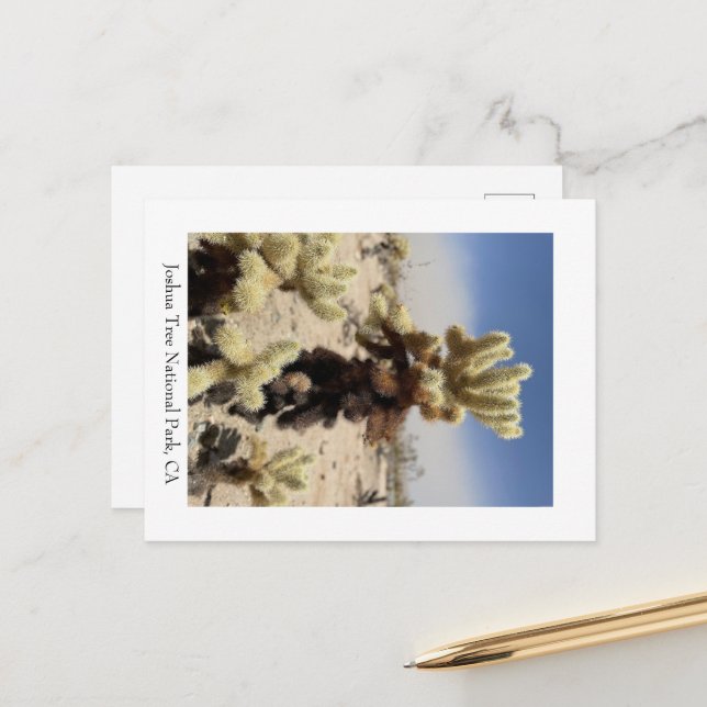 Postal Te extraÃ±o - Parque Nacional Joshua Tree, CA (Anverso/Reverso In Situ)