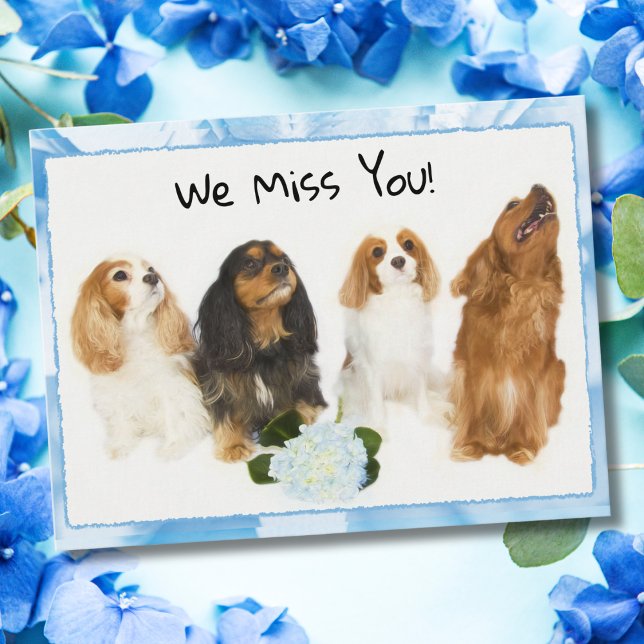 Postal ¡Te Extrañamos! 4 Cavalier King Charles Postcard (Subido por el creador)