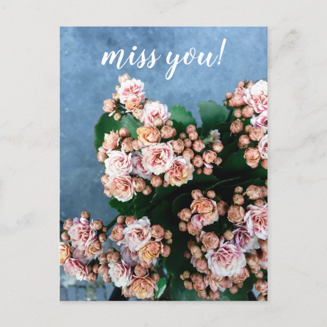 Postal te extrañamos flores silvestres de verano rosadas  (Anverso)