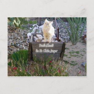 Postal Te Extrañamos Wyatt