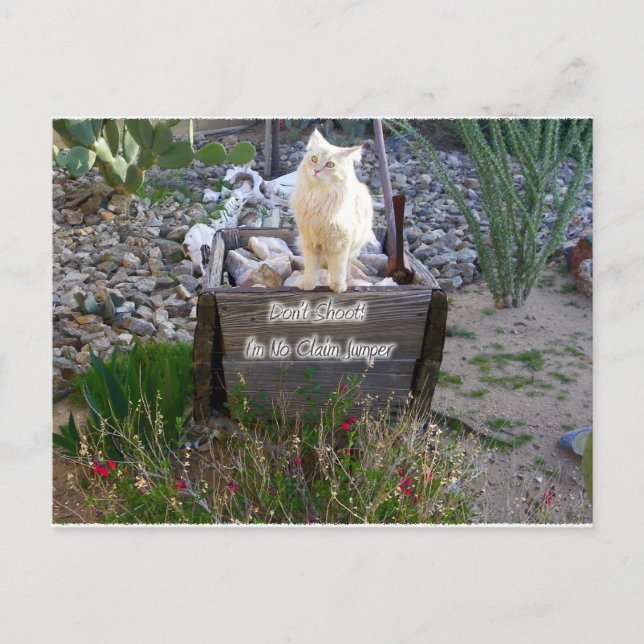 Postal Te Extrañamos Wyatt (Anverso)