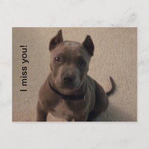 Postal ¡Te extraño!