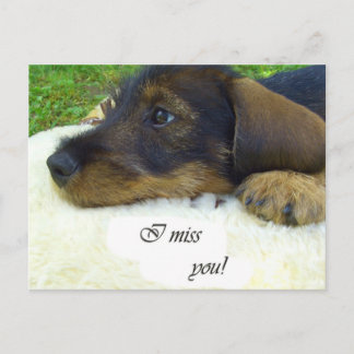 Postal Te extraño - Cute Dachshund