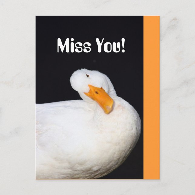 Postal ¡Te Extraño! Cuto pato blanco (Anverso)