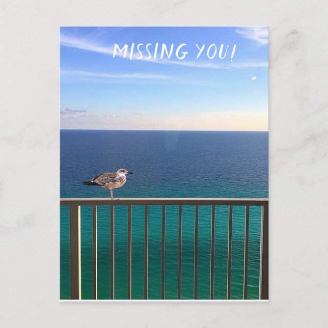 Postal Te extraño! Una gaviota cabezablanca (Anverso)
