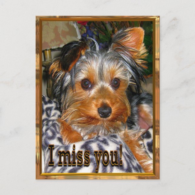 Postal Te falta (Anverso)