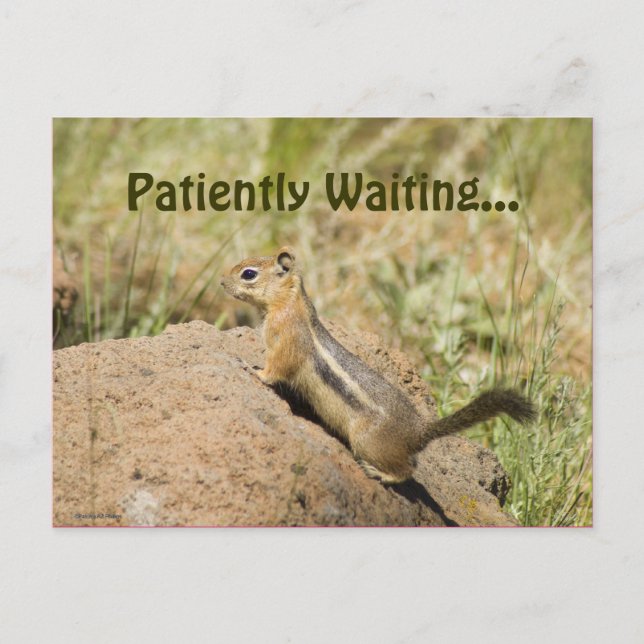 Postal Te Falta Chipmunk En Un Personalizado De Rock (Anverso)