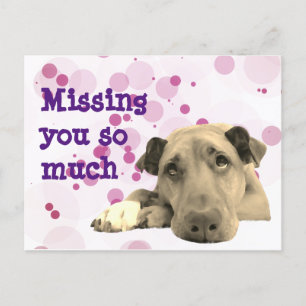 Postal Te falta el perro triste