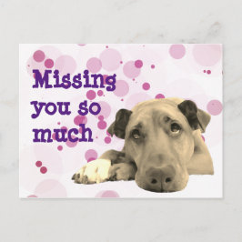 Postal Te falta el perro triste