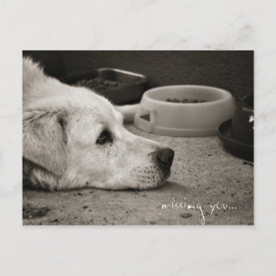 Postal Te falta - Postcard