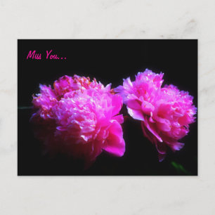 Postal Te presento a peony Postcard