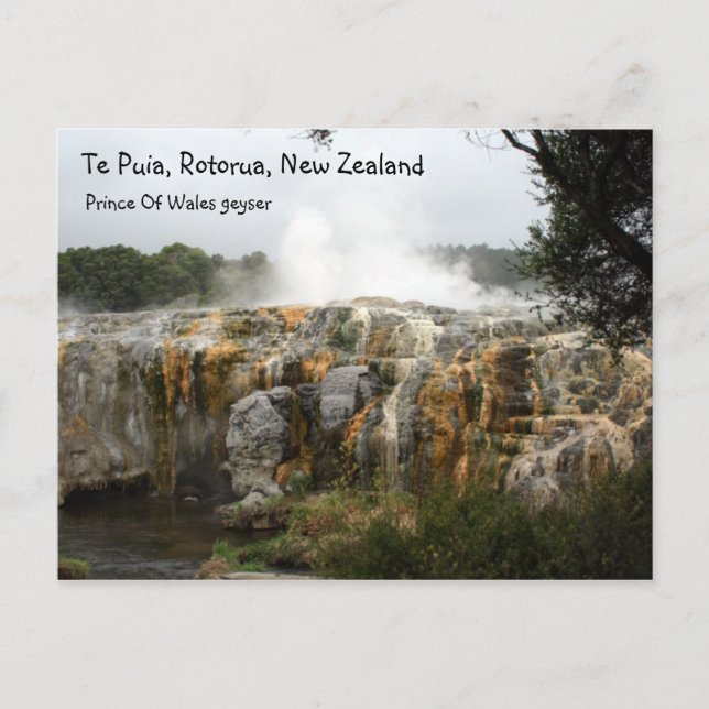 Postal Te Puia, Rotorua, Nueva Zelanda (Anverso)