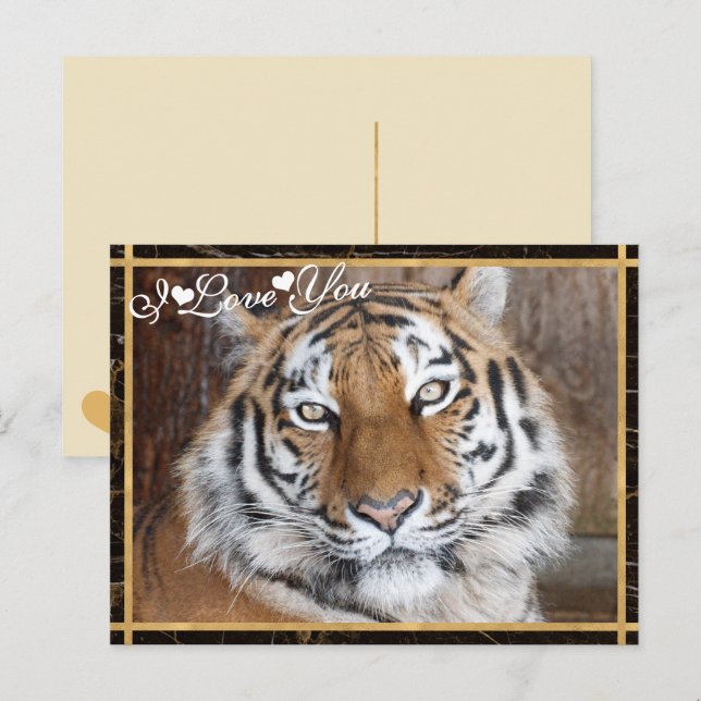 Postal Te quiero foto de tigre (Anverso / Reverso)