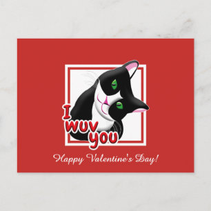Postal Te quiero gato de San Valentín