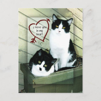 Postal Te tengo en mi corazón