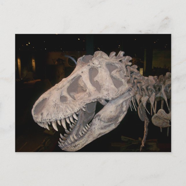 Postal ¡¡¡Te va a comer!!! (Anverso)