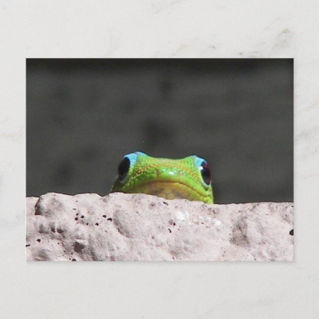 Postal Te veo gecko (Anverso)