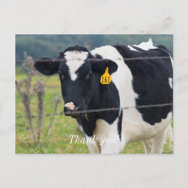 Postal Te Veo Gracias Postcard (Anverso)