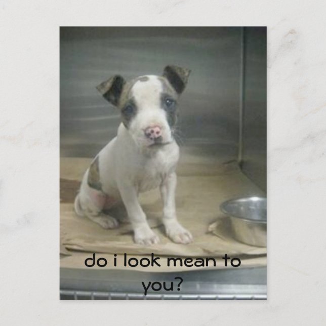 Postal ¿Te veo mal? (Anverso)