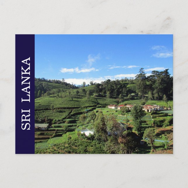 Postal tea hills sri lanka (Anverso)