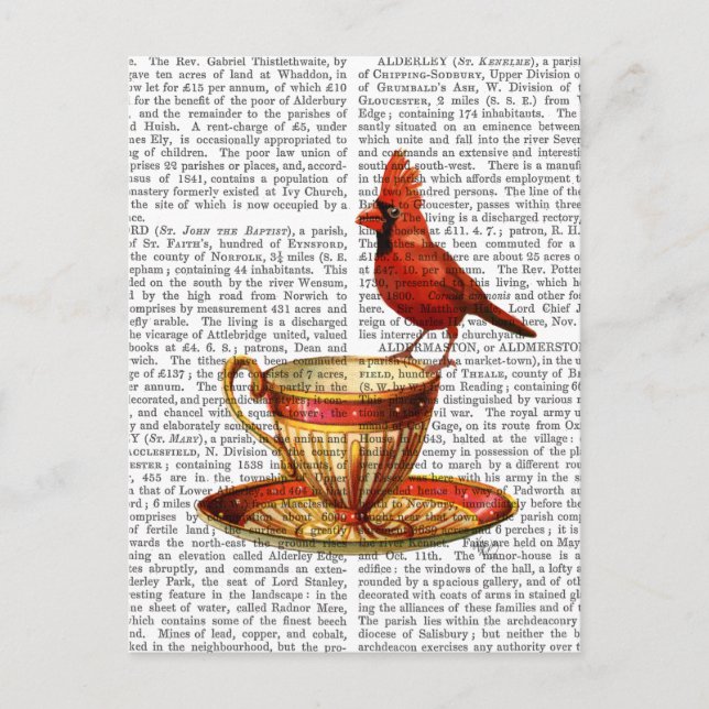 Postal Teacup Y Cardenal Rojo (Anverso)