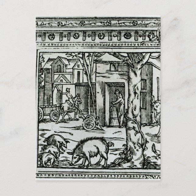 Postal Teatro de Agricultura y Mesnage des Champs (Anverso)