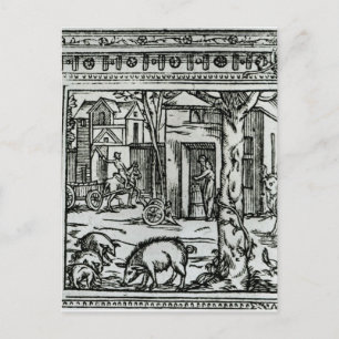 Postal Teatro de Agricultura y Mesnage des Champs