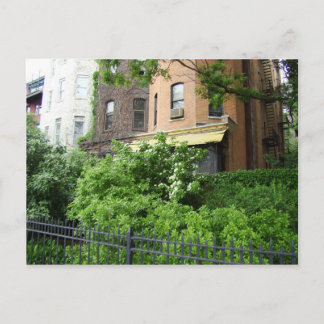 Postal Techo amarillo y jardín