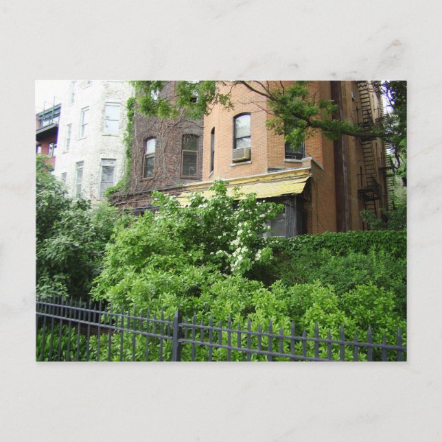 Postal Techo amarillo y jardín (Anverso)