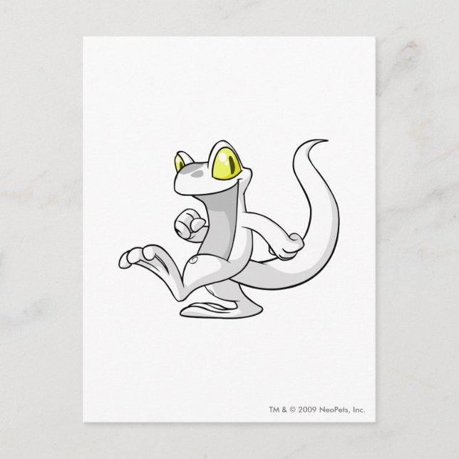 Postal Techo White (Anverso)