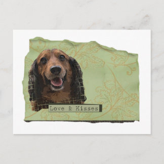 Postal Teckle / Dachshund en verdes