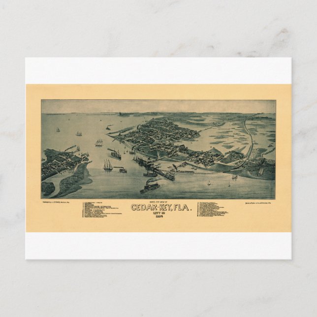 Postal Tecla Cedar (Anverso)