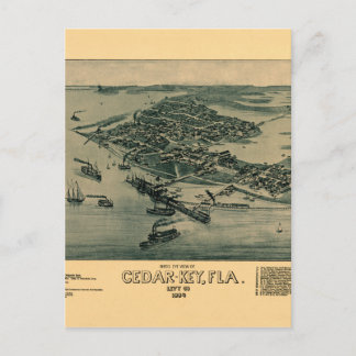 Postal Tecla Cedar
