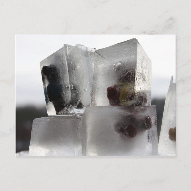 Postal Teddy (Anverso)