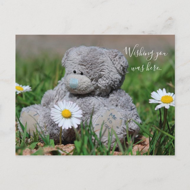 Postal Teddy Bear (Anverso)