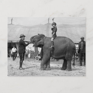 Postal Teddy Roosevelt en el Circo: 1924