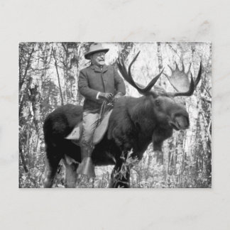Postal Teddy Roosevelt que monta un alce de Bull