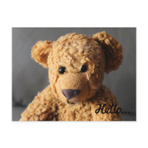 Teddy saluda