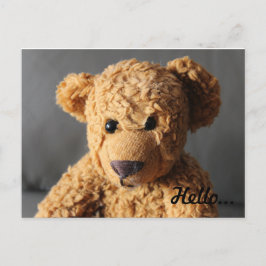 Postal Teddy saluda